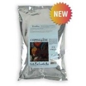 Cappuccine® Specialty Smoothie Base Mix Vanilla Frost