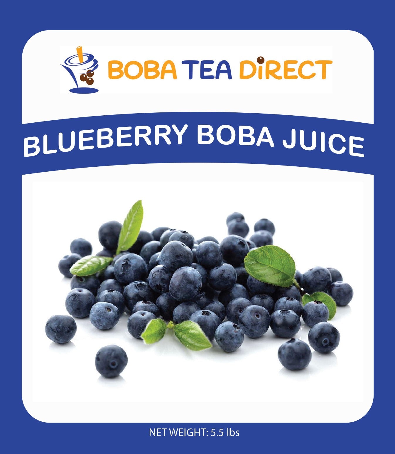 Boba Tea Direct Blueberry Syrup