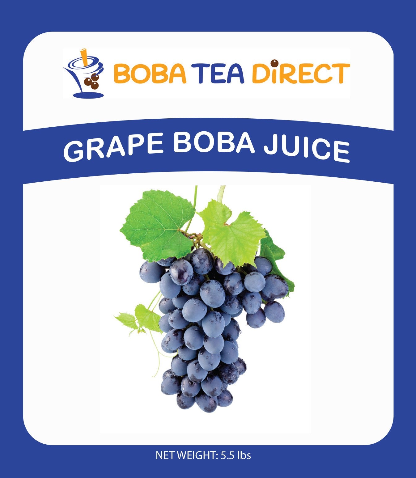 Boba Tea Direct Grape Syrup