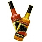 Big Train Flavored Syrup - Sugar Free Hazelnut (25.4 fl oz)