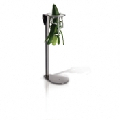 Tellier Peeler For Asparagus