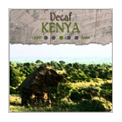 Decaf Kenya AA- Drip Grind (1-lb)