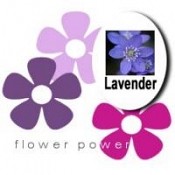 Lavender Blossom Infusion