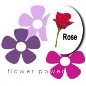 Rose Petal Infusion