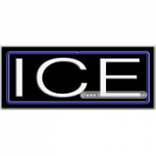 Ice Neon Sign (13