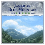 Jamaican Blue Mountain Blend - Espresso Grind (2-lb)