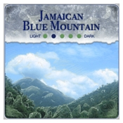 Jamaican Blue Mountain Blend - French Press (2-lb)